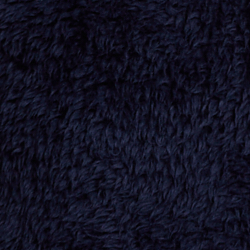 Cruise Navy