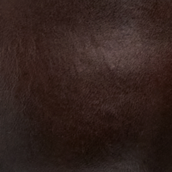 English Brown