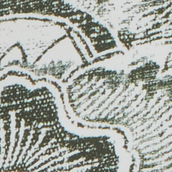 Grün/Weiß