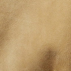 Burnished Beige
