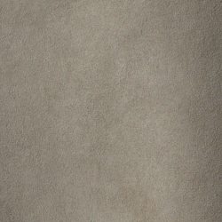 Pale Grey