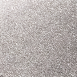 Metallic Silver