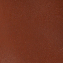 Saddle