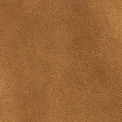 Maple