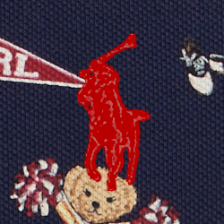 Cheerleader Bear
