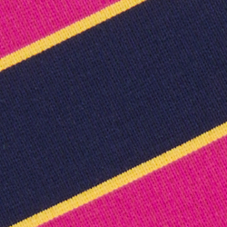 Preppy Pink Stripe W/ Gol