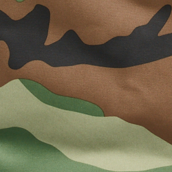 Surplus Camo