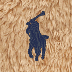 Classic Camel