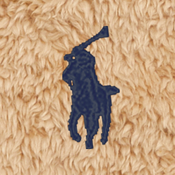 Classic Camel