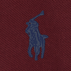 Harvard Wine