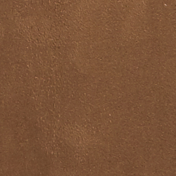 Cinnamon