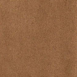 Cinnamon