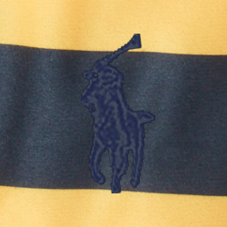 French Navy