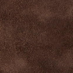 Chestnut Brown