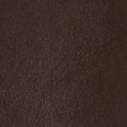 Chestnut Brown