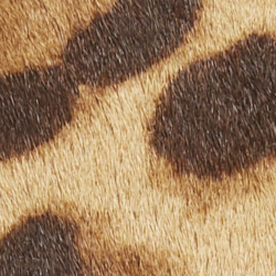 Chestnut Brown