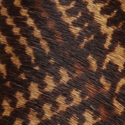 Brown Multi