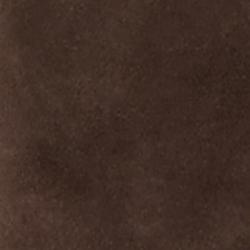 Chestnut Brown