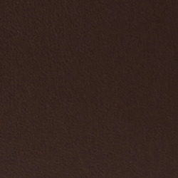Chestnut Brown