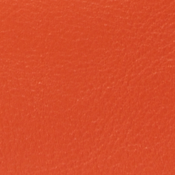 Harvest Orange