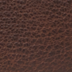 Chestnut Brown