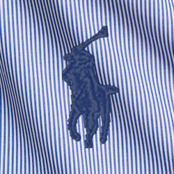 Blue/White