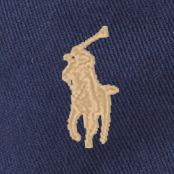 Newport Navy W/Skulls
