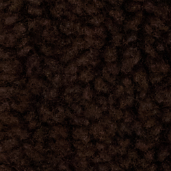 Circuit Brown