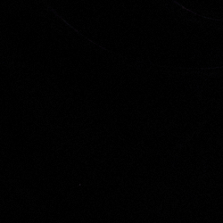 Black Velvet