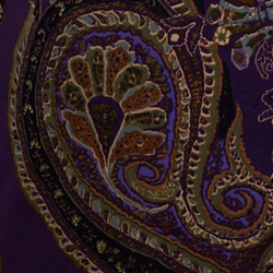 Purple Multi