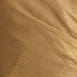 Classic Camel/Gold Foil