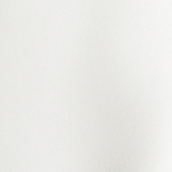 White/Polo Black