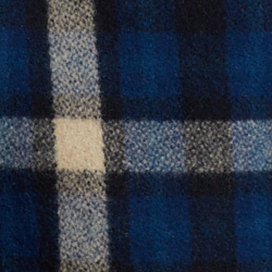 Blue Multi Plaid