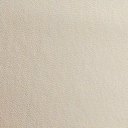 Warm White