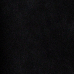 Polo Black