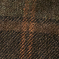 Thicket Moss