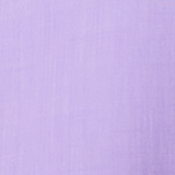 Lavender Lilac