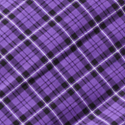 Purple/Black