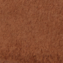 Chestnut
