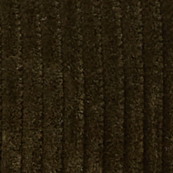 Thicket Moss