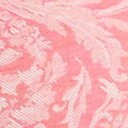 Pink Paisley
