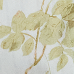 Sage Floral