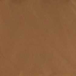 Classic Camel
