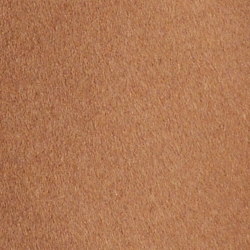 New Vicuna