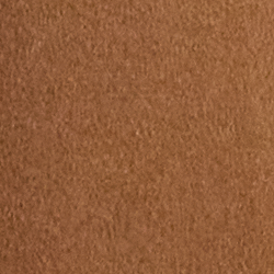 New Vicuna