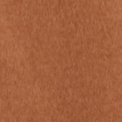 New Vicuna