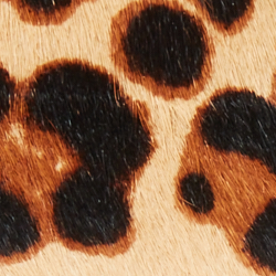 Leopard Hair