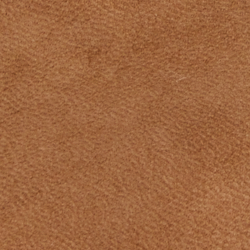 Khaki/Tan