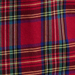 Tartan Funshirt