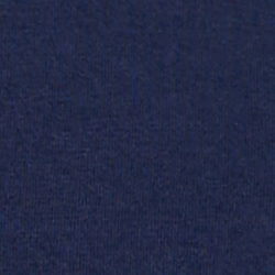 Cruise Navy